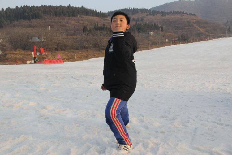 贾智文