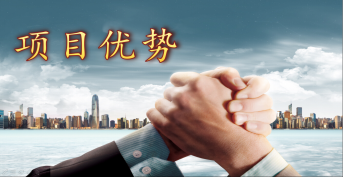 项目优势