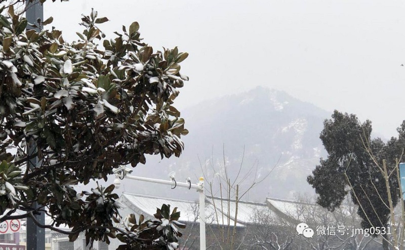 微信图片_20190222103826.jpg
