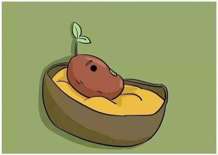 自从把小孩当植物来养后，整个人都好多了！