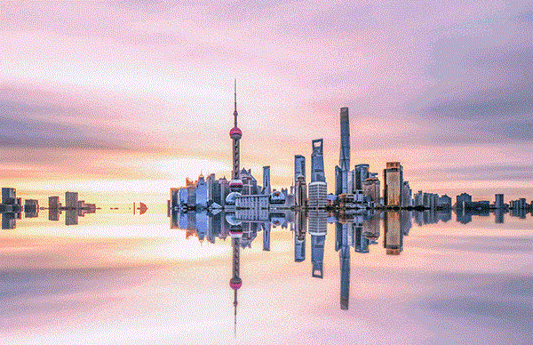 动图.gif