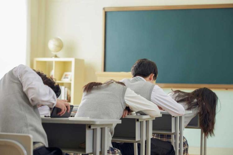 金芒果教育|掌握这5个心理调适技巧，让孩子轻松切换“开学模式”
